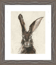 Load image into Gallery viewer, european hare ii