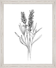 Load image into Gallery viewer, field flower ii
