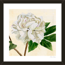 Load image into Gallery viewer, peony in bloom ii
