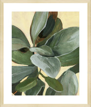 Load image into Gallery viewer, plant study i
