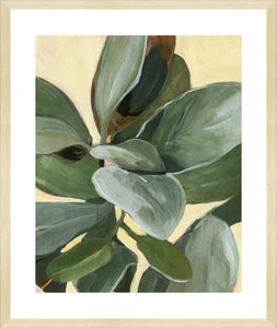 plant study i