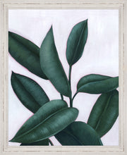 Load image into Gallery viewer, verdant ficus ii
