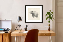 Load image into Gallery viewer, western bear study
