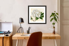 Load image into Gallery viewer, peony in bloom ii
