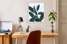 Load image into Gallery viewer, verdant ficus ii
